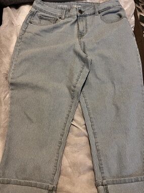 Style & Co. Blue and White Striped Capri Pants